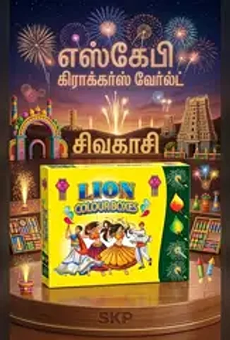 Lion Mega Matches 10 In 1